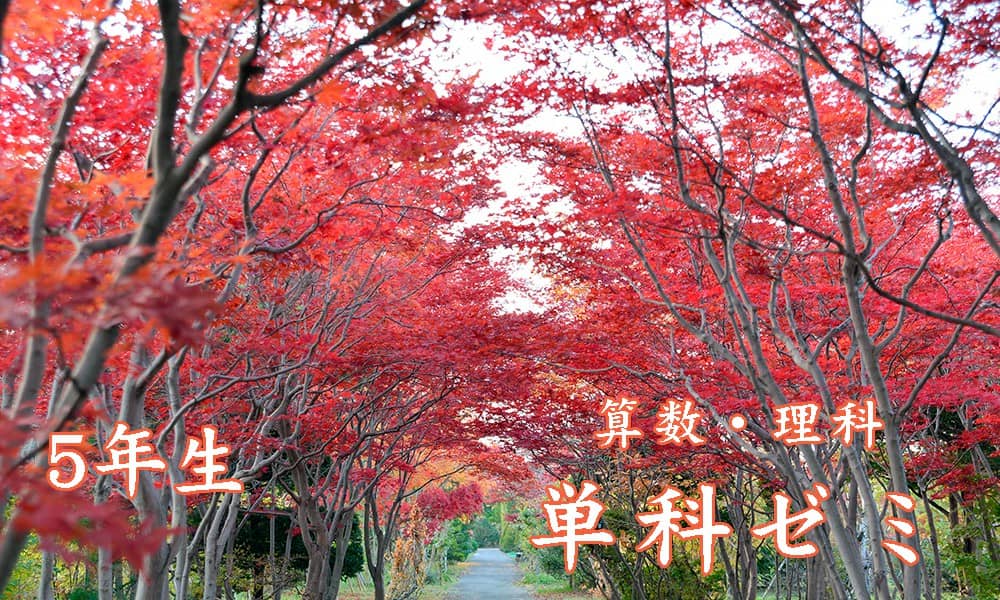 標準札幌校札幌校
